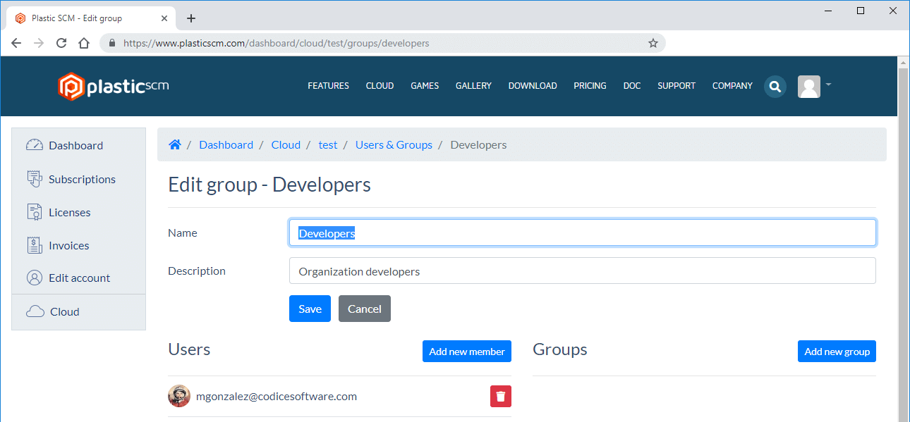 Cloud organization - Edit developers group