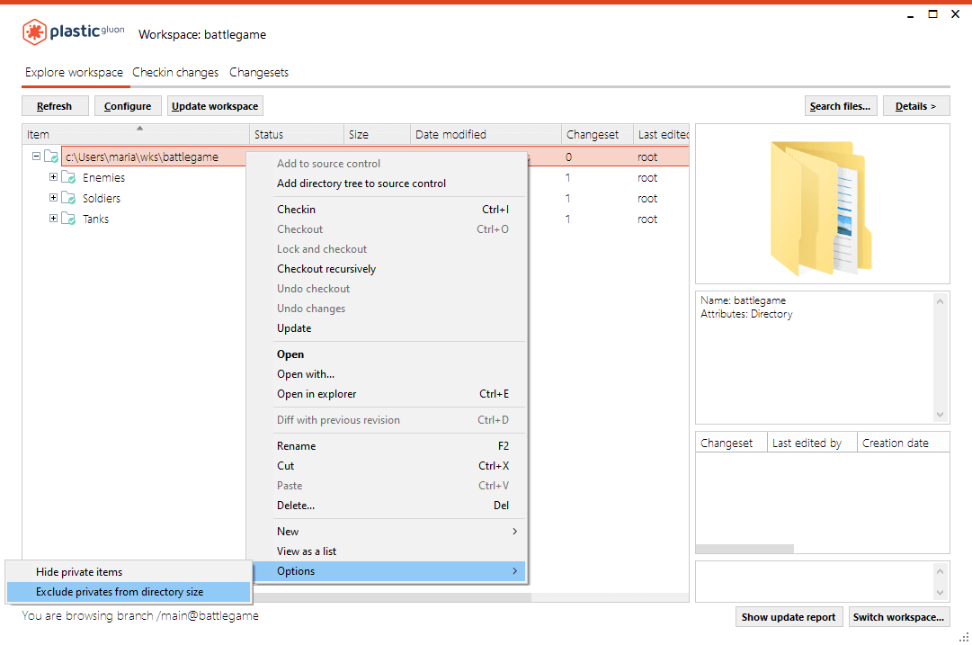 Explore workspace - Exclude/Include private items from directory size
