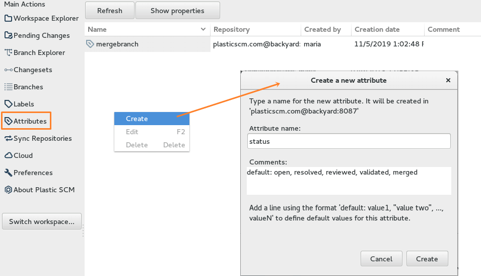 Plastic SCM GUI - Linux - Create new attribute
