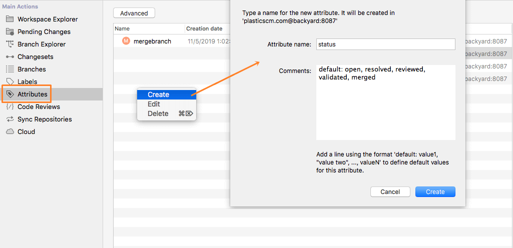 Plastic SCM GUI - macOS - Create new attribute