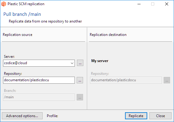 Replication window