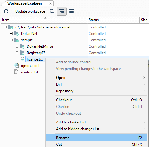Renaming a file