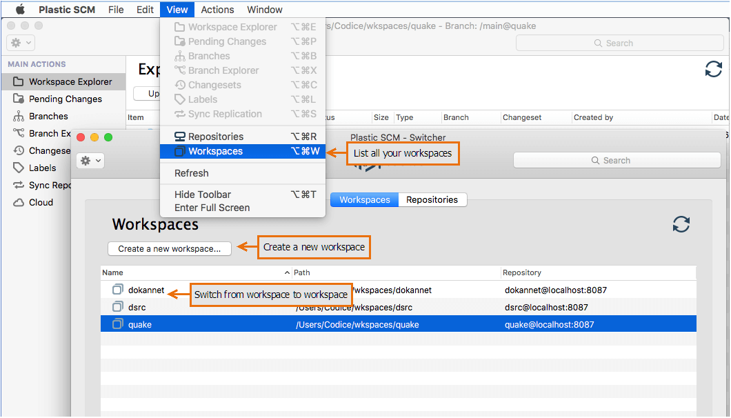 Plastic SCM GUI - macOS - Accessing workspaces