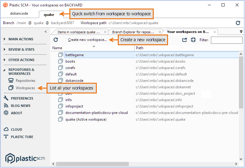 Plastic SCM GUI - Windows - Accessing workspaces