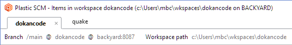 Plastic SCM GUI - Windows - Branch loaded